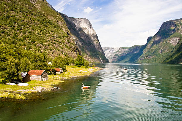 Fjords in Norway stock photo