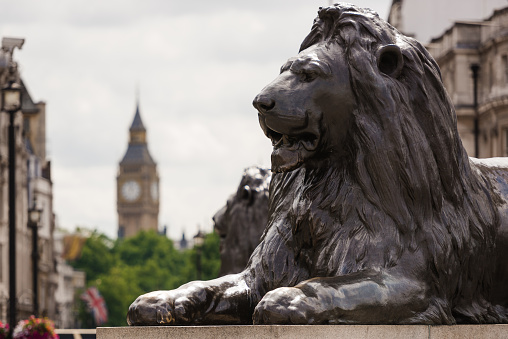 Lion in Trafalgar Square.