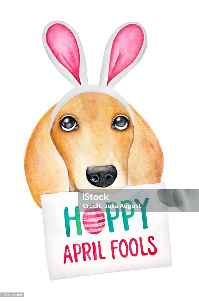 Easter combining with April Fool's Day illustration. Cute puppy dressed in bunny headband with phrase on paper: "Hoppy April Fools". Hand drawn water color drawing on white backdrop, isolated. April Fools Day stock illustration
