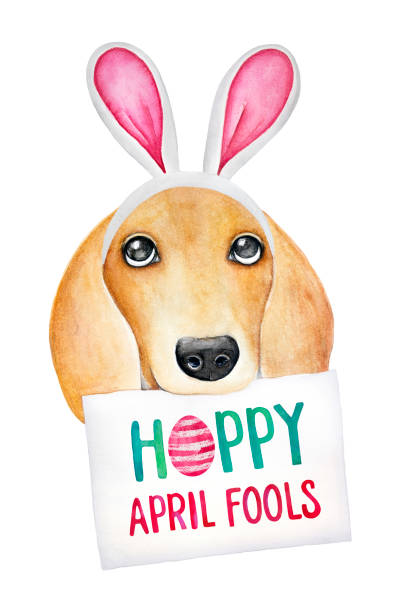 April fools day dog