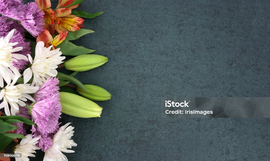 Beautiful Spring Flowers Over Blackboard Background Beautiful Colorful Spring Flowers Bouquet Over Blackboard Texture Dark Background With Copy Space, Horizontal Flower Stock Photo