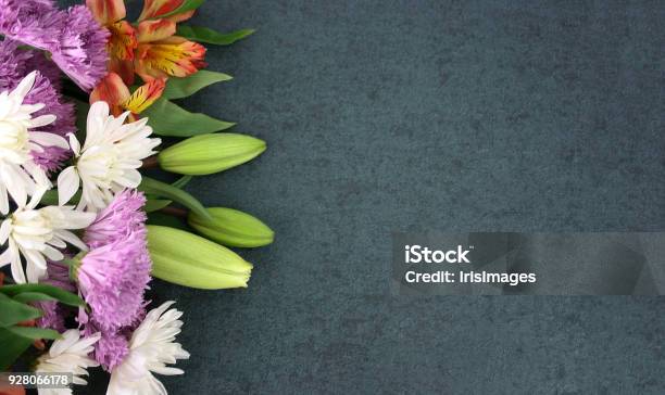 Beautiful Spring Flowers Over Blackboard Background Stock Photo - Download Image Now