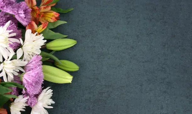 Photo of Beautiful Spring Flowers Over Blackboard Background