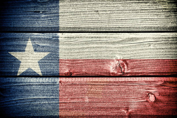 istock flag of  Texas 928066554