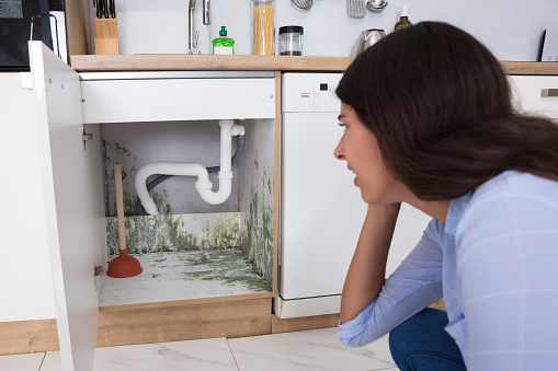 Young Woman Looking At Mold In Cabinet Area In Kitchen