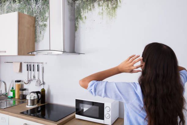 istock Woman Looking At The Damaged Ceiling 928068932