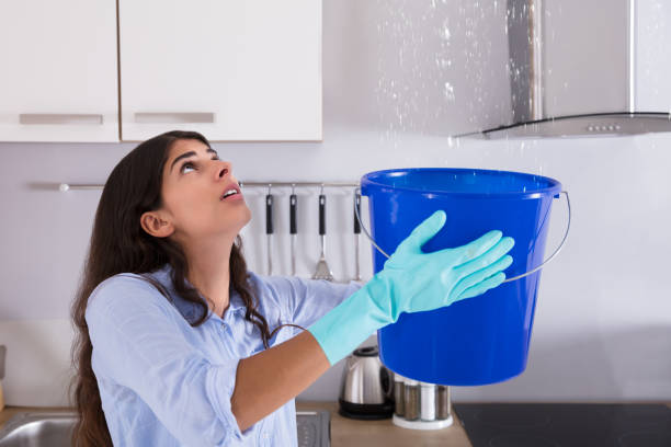 istock Woman Holding Bucket While Water Droplets Leak From Ceiling 928069010