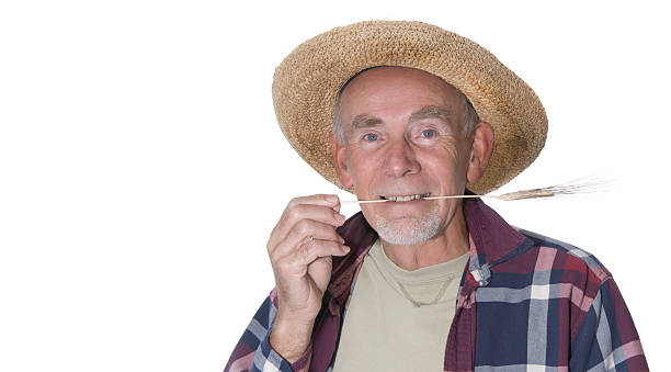 Old hillbilly with straw in mouth stock photo