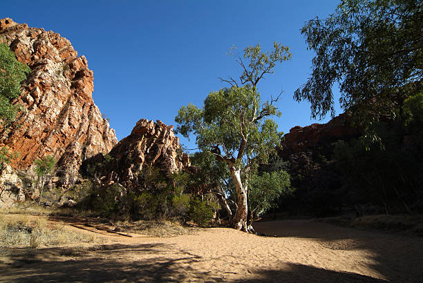 istock Australia, Northern Territory 92807696