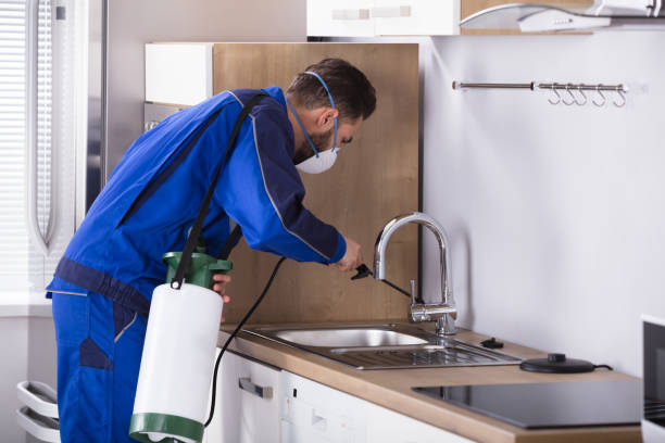 istock Pest Control Worker Spraying Pesticide In Kitchen 928076972