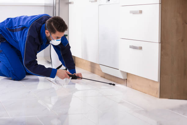 istock Man Spraying Pesticide In Kitchen 928076984