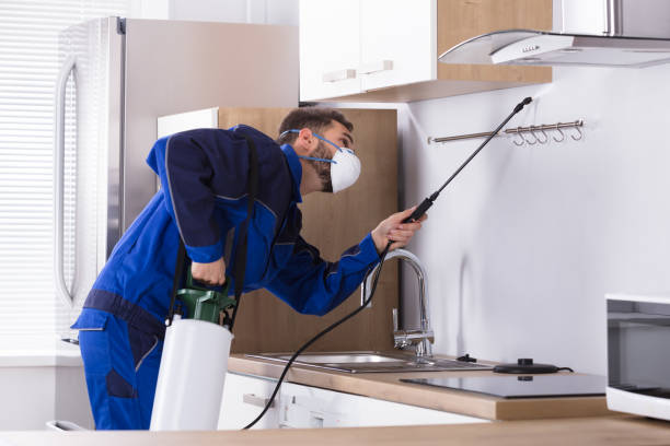istock Pest Control Worker Spraying Pesticide In Kitchen 928076986