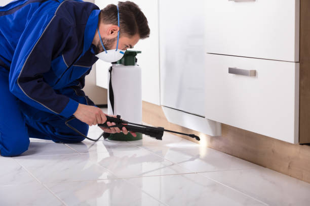 istock Man Spraying Pesticide In Kitchen 928076990
