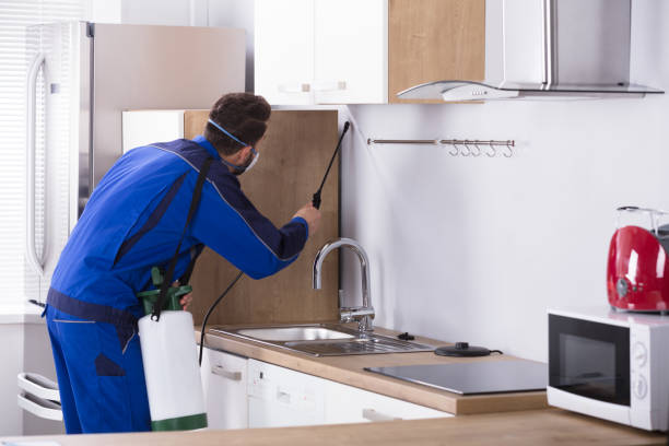 istock Pest Control Worker Spraying Pesticide In Kitchen 928076996