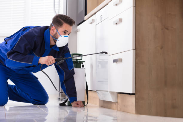 istock Man Spraying Pesticide In Kitchen 928077002
