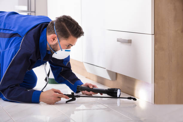 istock Man Spraying Pesticide In Kitchen 928077024