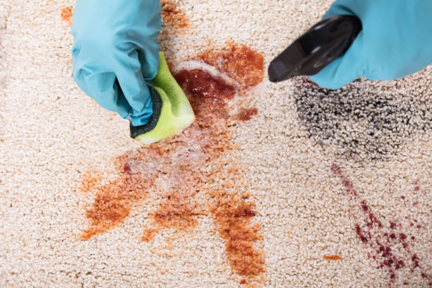 istock Person Cleaning Stain With Detergent Spray Bottle 928077052