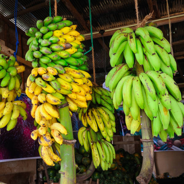 istock Yellow and green bananas in a vegetable shop. 928077314