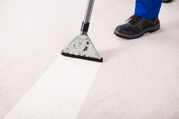 istock Person Using Vacuum Cleaner For Cleaning Carpet 928077376