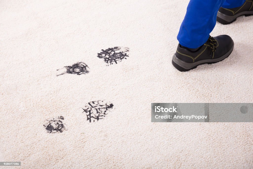 Elevated View Of Muddy Footprint On Carpet Elevated View Of Person Walking With Muddy Footprint On Carpet Carpet - Decor Stock Photo