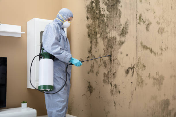 istock Pest Control Worker Spraying Pesticide On Wall 928081202