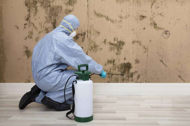 istock Pest Control Worker Spraying Pesticide On Wall With Sprayer 928081226