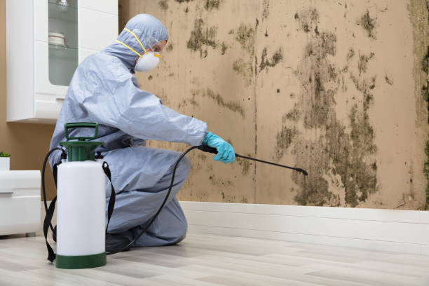 istock Pest Control Worker Spraying Pesticide On Wall 928081228