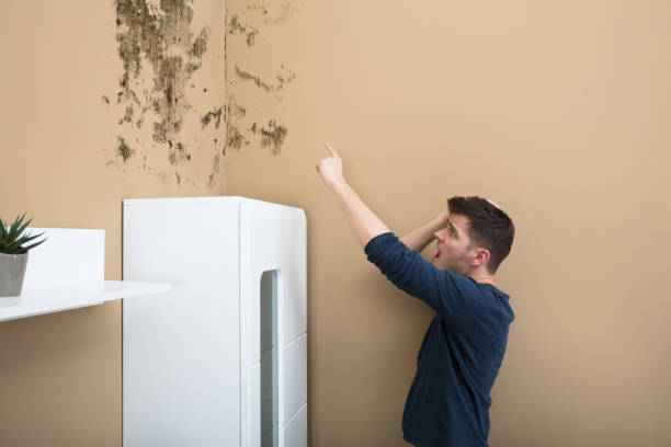 istock Shocked Man Looking At Mold On Wall 928081248