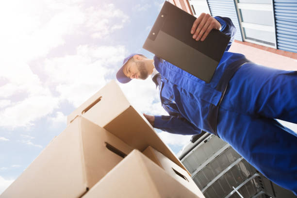 Male Worker Standing Near Cardboard Box Holding Clipboard