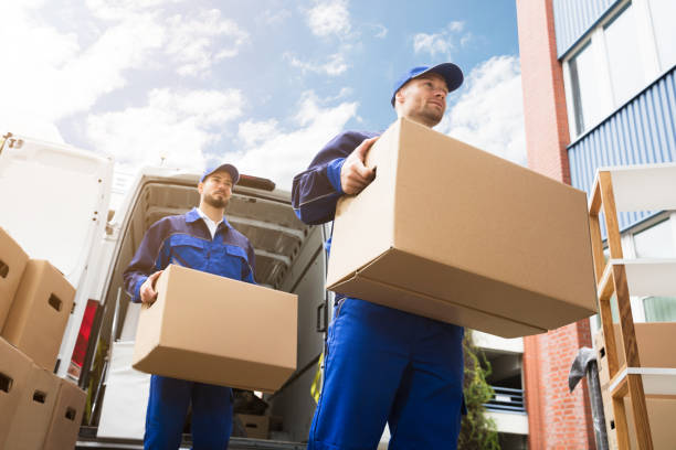 Close-up Of Two Delivery Men Carrying Cardboard Box stock photo