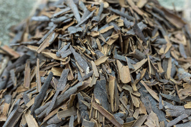 istock Fresh fruits and vegetables.cinnamon bark 928085040