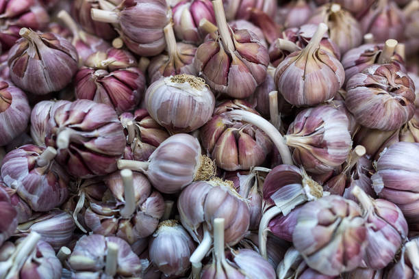istock Fresh fruits and vegetables.garlic 928085050