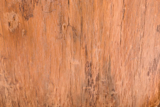 木材・素材、寄せ木細工の床、フローリング、広葉樹、テクスチャ効果 - 2599 ストックフォトと画像