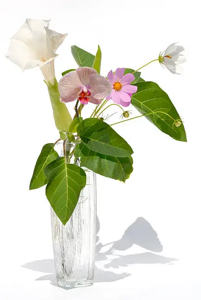 A  high key image of summer flowers in a glass vase