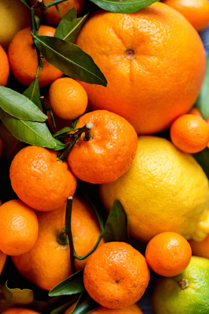 istock Close-up of various citrus fruits 928091800