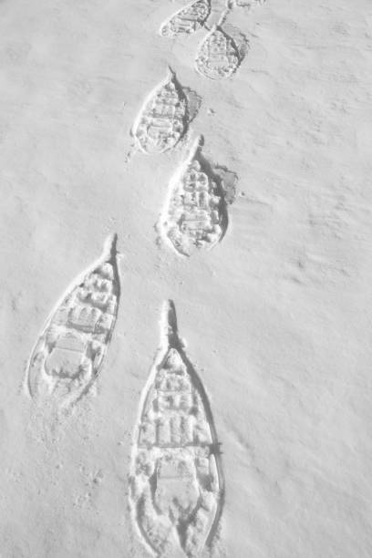 pegadas de um snowshoe deixaram na neve - snowshoeing winter sport snowshoe hiking - fotografias e filmes do acervo