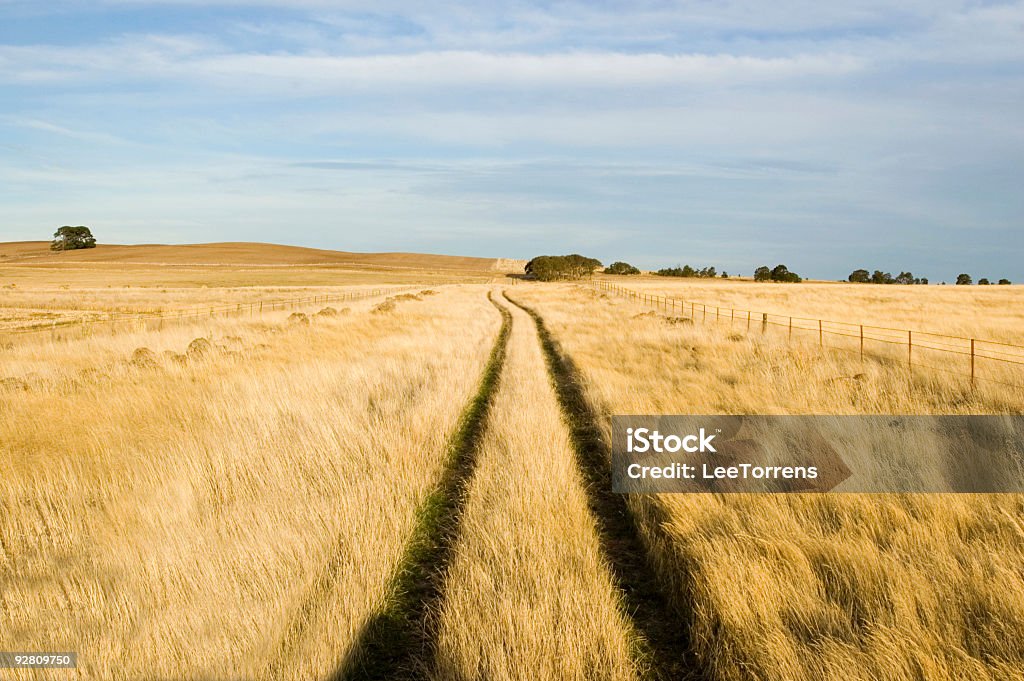 Fazenda de faixas - Foto de stock de Agricultura royalty-free