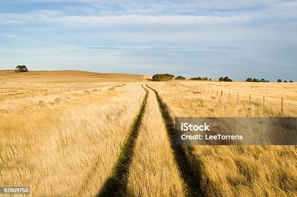 Foto de Fazenda De Faixas e mais fotos de stock de Agricultura - Agricultura, Amarelo, Austrália
