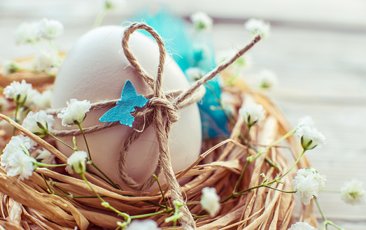 Easter egg in nest on rustic white background text space. Easter holiday background, card.