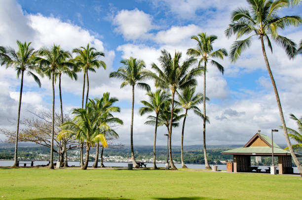 istock Coconut Island Park Hilo Hawaii with picnic area 928107086
