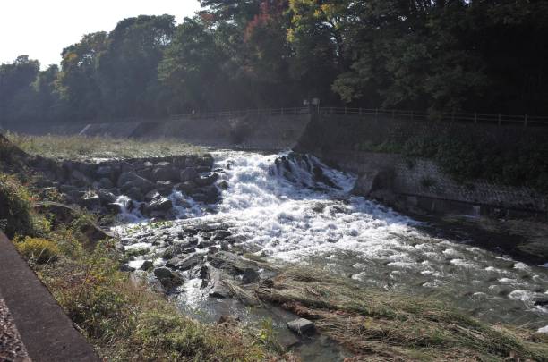 istock Fiery river flow and muddy stream in the park 928107954