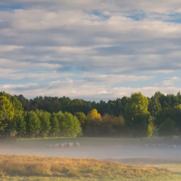 Fields of north Poland with meadow, forest and morning nature