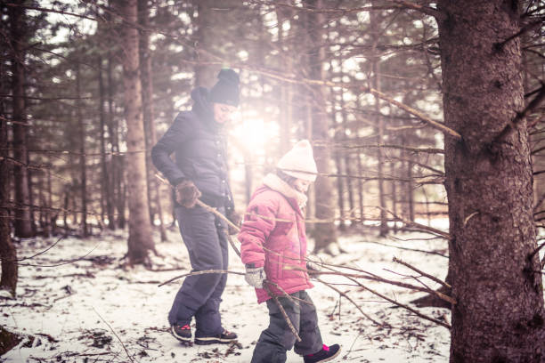 Winter walk in the woods
