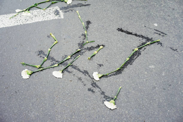 istock High Angle View Of Flowers On Street 928134264