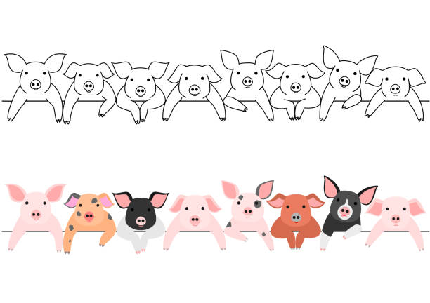 little pigs border set little pigs border set. berkshire pig stock illustrations