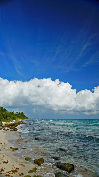 istock waves crashing on a beautiful beach in Playa car mexico 928158876