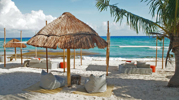 пальма хижина на пляже в канкум мексика - mayan riviera стоковые фото и изображения