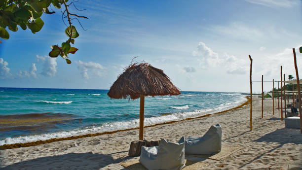 Cabana de árvore de palma na praia no México de Cancum - foto de acervo