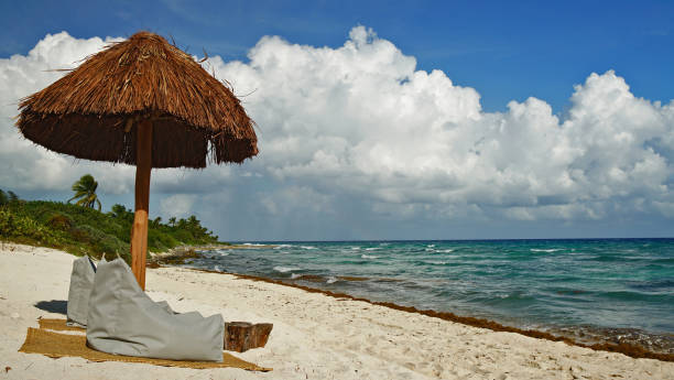 choza del árbol de palma en la playa en cancum mexico - mayan riviera fotografías e imágenes de stock