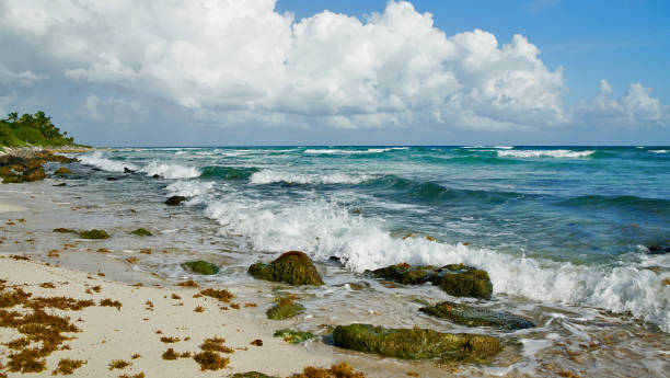 Cтоковое фото волны грохот на красивом пляже в Playa автомобиль Мексика